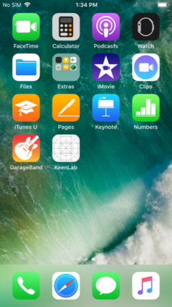 Die hergestellte Verbindung mit einem WLAN bringt die Hacker-App "KeenLab" auf das iPhone 7 (Screenshot: ZDI).