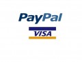 Paypal und Visa
